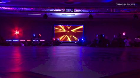 Niko Bird vs Rodrigo Franca 2025 Fight to Win 290