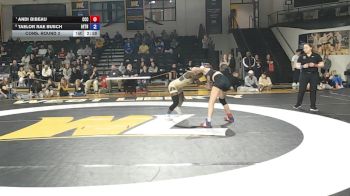 117 lbs Cons. Round 3 - Andi Bibeau, Cedar Crest vs Taelor Rae Busch, Bethany