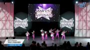 Brio Studios - Tiny Premier [2024 Tiny - Pom 2] 2024 JAMfest Dance Super Nationals