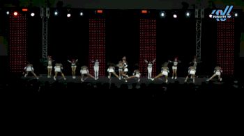 GymTyme Illinois - Fever [2025 L6 Senior Coed - XSmall Day 1] 2025 ASC King of the Jungle Schaumburg Showdown