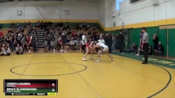 113 lbs Cons. Round 6 - Brock Blankenhorn, MOUNT VERNON vs Joseph Lugabihl, WAUSEON