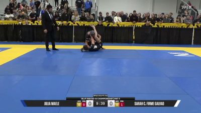 Sarah C. Firme Galvao vs Julia Maele 2026 Pan IBJJF Jiu-Jitsu No-Gi Championship