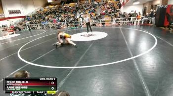 115 lbs Cons. Round 2 - Raine Brekhus, Cheyenne East vs Emmie Trujillo, Natrona County