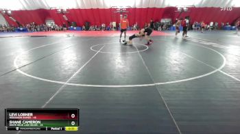 137-137 A Round 3 - Shane Cameron, White Bear Lake Bears vs Levi Lobner, Wisconsin Rapids