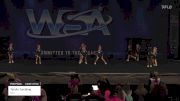 Totally Tumbling - Day 1 [2023 Pink Pixies Level 1.1 Tiny] 2023 WSA Grand Nationals