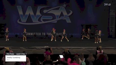 Totally Tumbling - Day 1 [2023 Pink Pixies Level 1.1 Tiny] 2023 WSA Grand Nationals