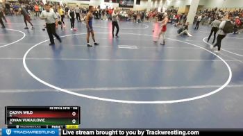 132 lbs Champ. Round 1 - Jovan Vukajlovic, FL vs Cadyn Wild, IA