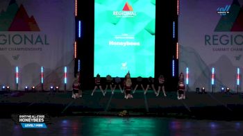 GymTyme All-Stars - Honeybees [2025 L1 Mini 04/13/2025] 2025 The Midwest Regional Summit