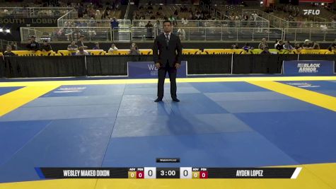 Ayden Lopez vs Wesley Makeo Dixon 2025 Pan Kids Jiu-Jitsu IBJJF Championship