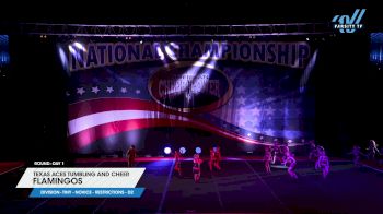 Texas Aces Tumbling and Cheer - Flamingos [2024 L1 Tiny - Novice - Restrictions - D2 Day 1] 2024 Cheer Power Southern Nationals