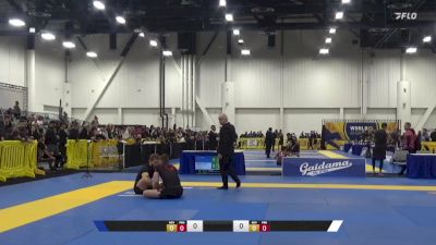 Tyson W Porter vs AJ Agazarm 2024 World IBJJF Jiu-Jitsu No-Gi Championship