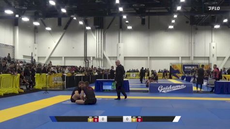 Tyson W Porter vs AJ Agazarm 2024 World IBJJF Jiu-Jitsu No-Gi Championship