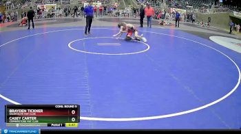 92 lbs Cons. Round 5 - Casey Carter, Cornerstone Mat Club vs Brayden Tickner, Salem Elite Mat Club