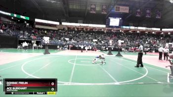 61 lbs Cons. Round 2 - Ace Burkhart, Unattached vs Dominic Frelin, JRP1