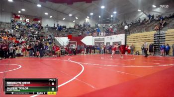 190 lbs Semifinal - Brooklyn Neece, Madison Lady Cubs vs Jaleese Taylor, North Central