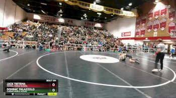 95 lbs Cons. Round 3 - Jack Tietema, Powell Middle School vs Dominic Palazzolo, Lander Middle School