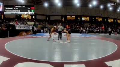 155 lbs Round 1 - Delaney Stup, Tuscarora vs Adelina Dickens, Queen Annes County High School