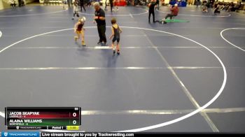 55 lbs Round 5 (6 Team) - Alaina Williams, Northfield vs Jacob Skapyak, Lakeville