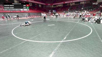 175 lbs D1 - Semi-finals (fri 7:30pm.) - Tucker Athey, Bay Port vs Carter Smith, Arrowhead