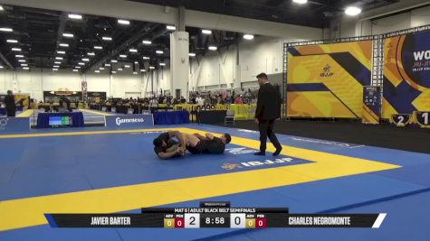 Charles Negromonte vs Javier Barter 2025 World IBJJF Jiu-Jitsu No-Gi Championship