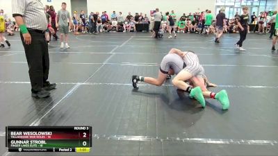 96 lbs Round 3 (6 Team) - Bear Wesolowski, Tallahassee War Noles vs Gunnar Strobl, Finger Lakes Elite