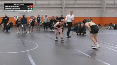 96 lbs Round 5 (6 Team) - Emmett Anderson, Rising Kingz vs Grayson Demore, PAW