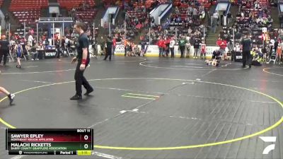 69 lbs Champ. Round 1 - Sawyer Epley, Northeast Region Affiliated vs Malachi Ricketts, Barry County Grapplers Association