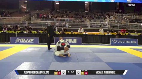 Michael A Fernandez vs Alexandre Bichara Caldas 2025 Pan Jiu Jitsu IBJJF Championship