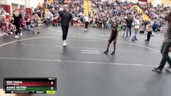 52 lbs Champ. Round 1 - Reid Tindal, Dixie Hornets vs Banks Meyers, Ninety Six Wrestling