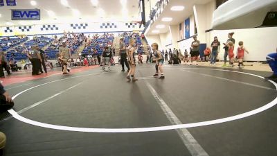 46 lbs Consi Of 8 #2 - Maculey Andrews, Hilldale Youth Wrestling Club vs Josiah Wishard, Tiger Trained Wrestling