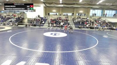 165 lbs Champ. Round 2 - Logan Bruce, Castleton vs Tristian Robinson-July, Cortland