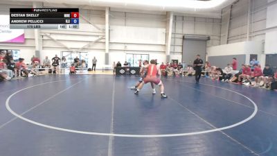 175 lbs Destan Skelly, Minnesota Red vs Andrew Pellicci, Illinois