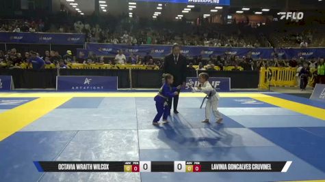 Octavia Wraith Wilcox vs Lavinia Goncalves Cruvinel 2026 Pan Kids Jiu-Jitsu IBJJF Championship