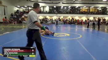 141 lbs Round 3 (10 Team) - Seth Woolman, St. Clair vs Cooper Peterson, University Of Wisconsin - Stevens Point
