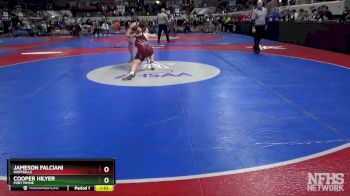 6A 215 lbs Quarterfinal - Cooper Hilyer, Fort Payne vs Jameson Falciani, Hartselle