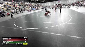 132 lbs Cons. Semi - Parker Neu, Hartford vs Alex Valentin, Lane Tech (IL)