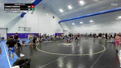 125 lbs Round 6 (10 Team) - Connor Sheridan, Vougars Honors vs Rocco DeStefano, Savage Red