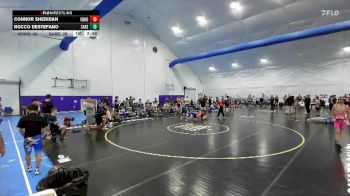 125 lbs Round 6 (10 Team) - Connor Sheridan, Vougars Honors vs Rocco DeStefano, Savage Red
