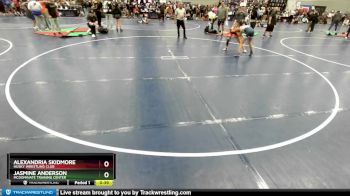 105 lbs Cons. Round 3 - Jasmine Anderson, McDominate Training Center vs Alexandria Skidmore, Husky Wrestling Club