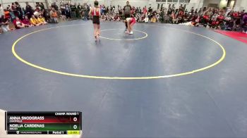 100 lbs Champ. Round 1 - Anna Snodgrass, Chatfield vs Noelia Cardenas, Brush