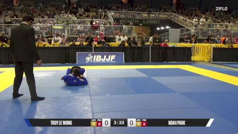 Troy Le Wong vs Noah Park 2025 Pan Kids Jiu-Jitsu IBJJF Championship
