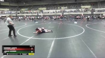 145 lbs Champ. Round 2 - Jeron Hansen, LAW vs Dominic Leintz, Overtime Wrestling