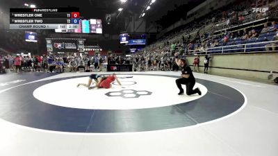 125 lbs Champ. Rd Of 128 - Karina Lojowski, IL vs Kadence Neumeyer, WA