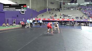 133 lbs Finals (2 Team) - Trenden Bashore, Olivet vs Cj Davis, Central
