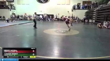 145 lbs Round 1 (8 Team) - BRODY MIZZELL, Saint Clair County vs CONNER RIGNEY, Shelby County