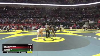 D1-144 lbs Semifinal - Brock Herman, Brecksville vs Ty Wilson, Dub. Scioto