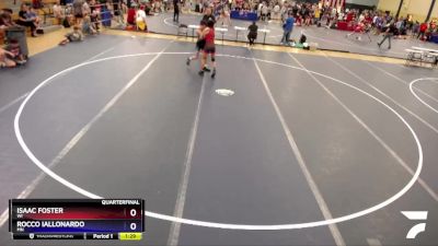 119 lbs Quarterfinal - Isaac Foster, WI vs Rocco Iallonardo, MN