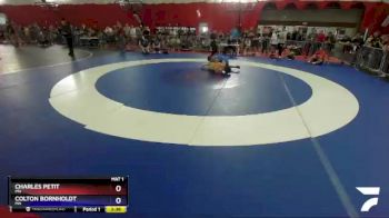 160 lbs Semifinal - Charles Petit, MN vs Colton Bornholdt, MN