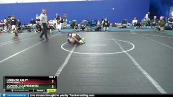 56 lbs Round 3 (8 Team) - Dane Palma, Neighborhood vs Pierce Davich, Donahue White