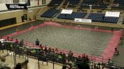Pine Tree HS "Longview TX" at 2026 WGI Guard Mansfield Regional+